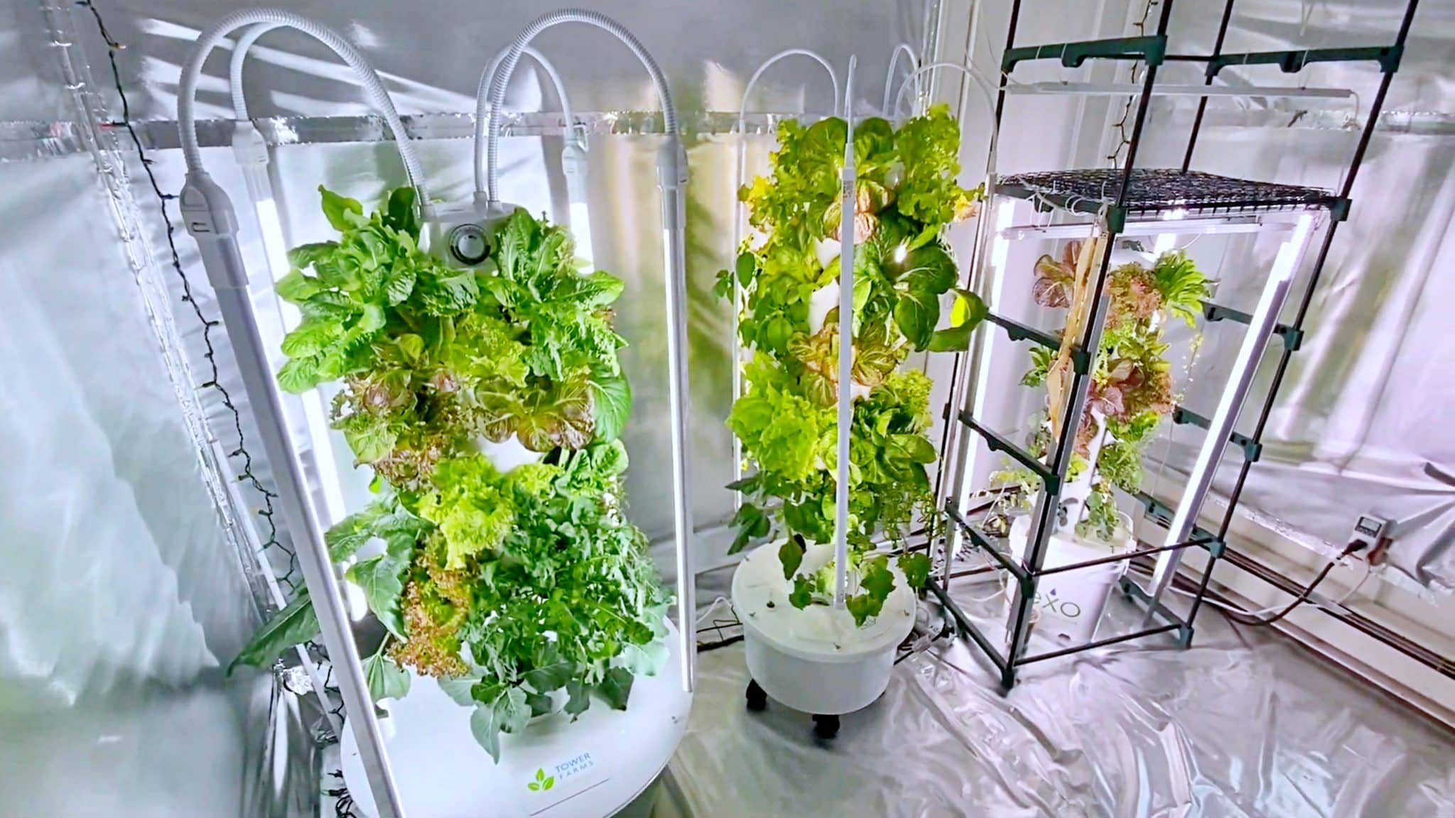 Best Hydroponic Towers In The World For Home Gardens