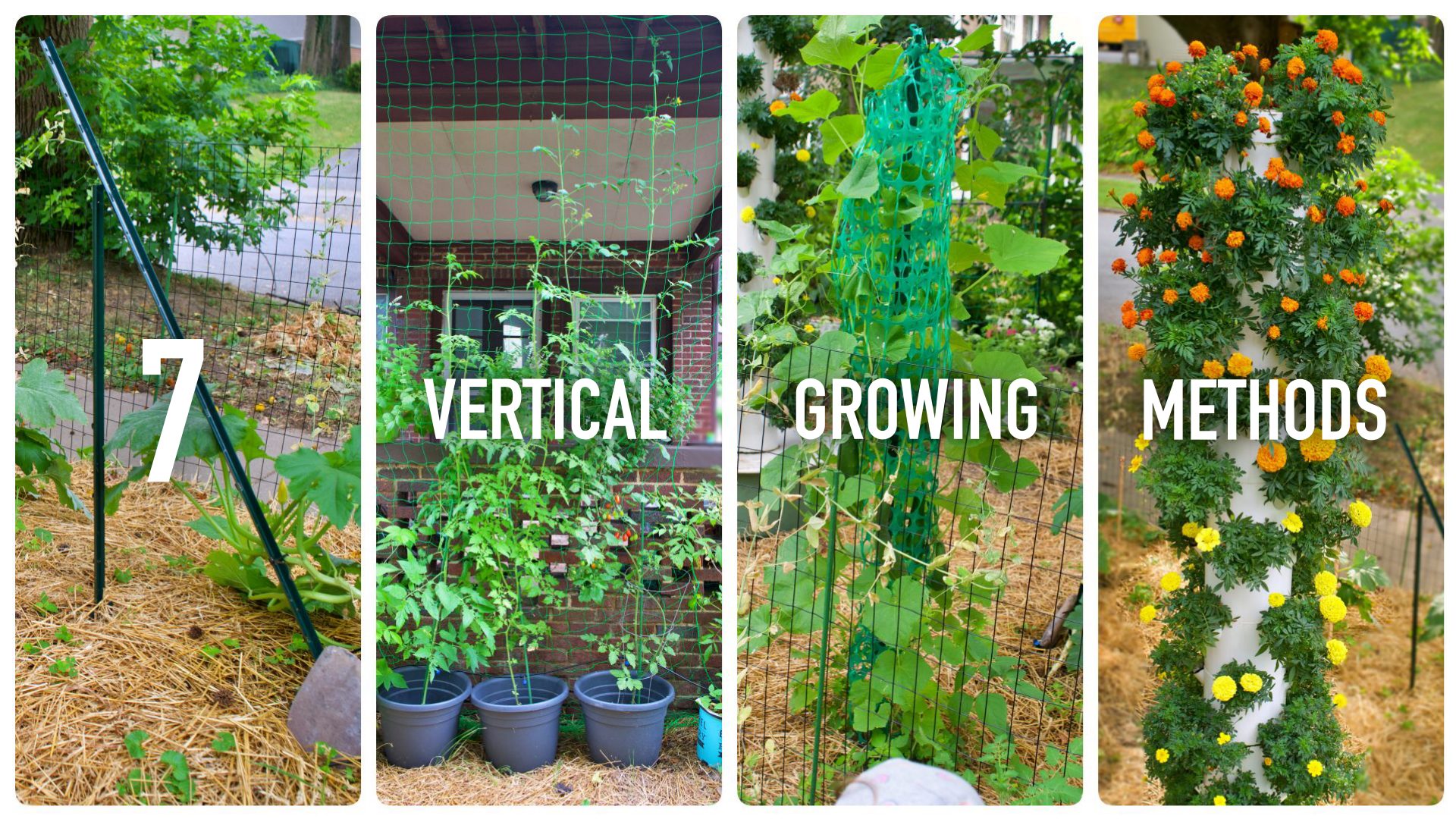 7 Proven Vertical Growing Methods You Should Try This Season
